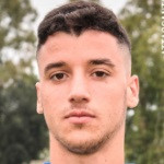 法比安·柏禾尼