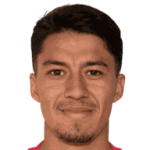 Cristian Aravena Viveros
