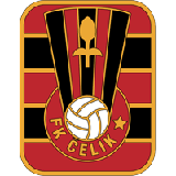 Celik